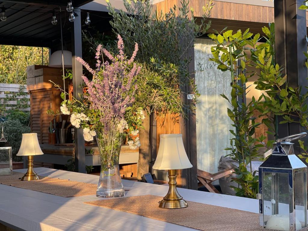 Dragonfly Glamping Spa Retreat Άσφορντ Εξωτερικό φωτογραφία
