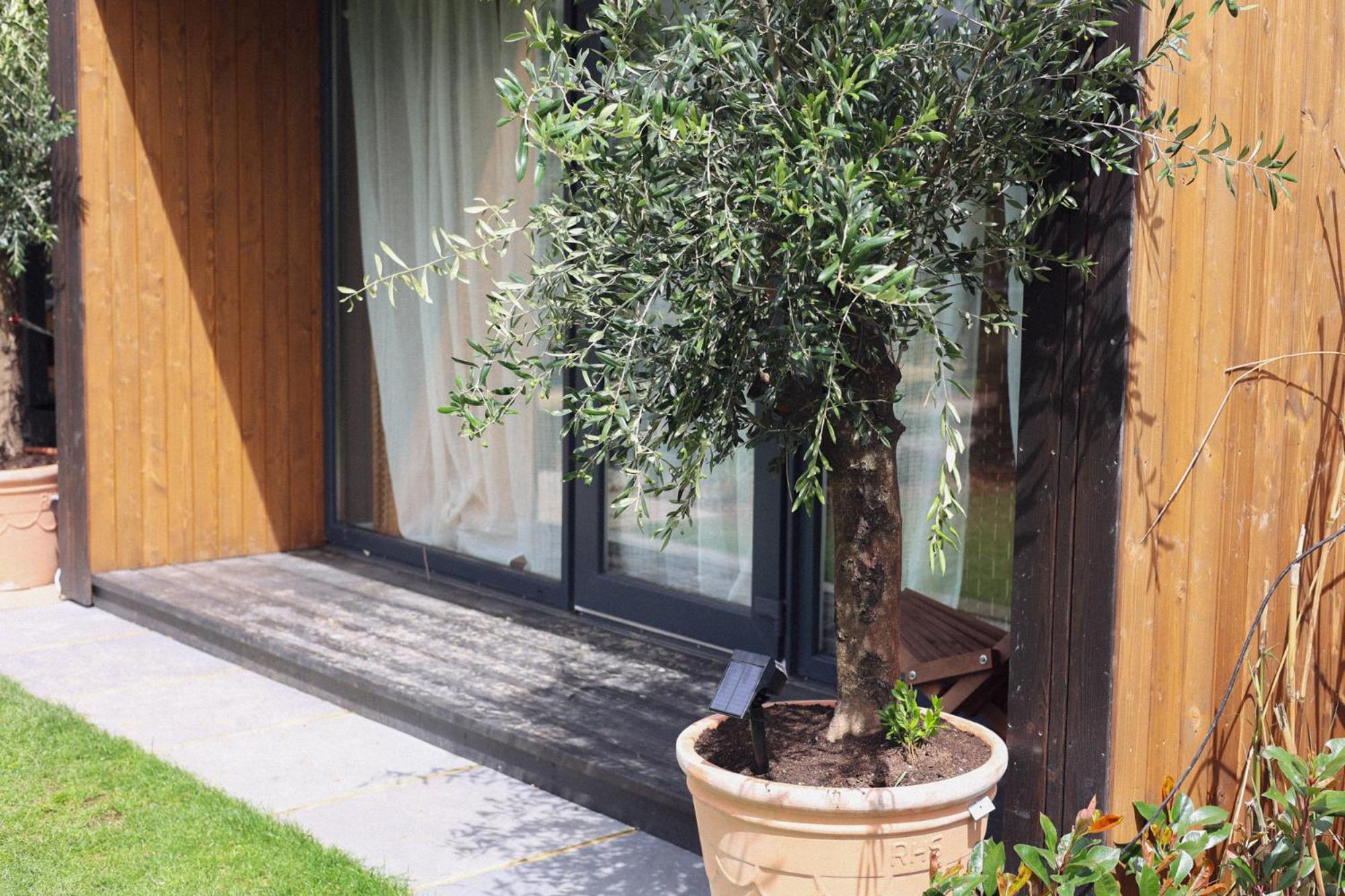 Dragonfly Glamping Spa Retreat Άσφορντ Εξωτερικό φωτογραφία