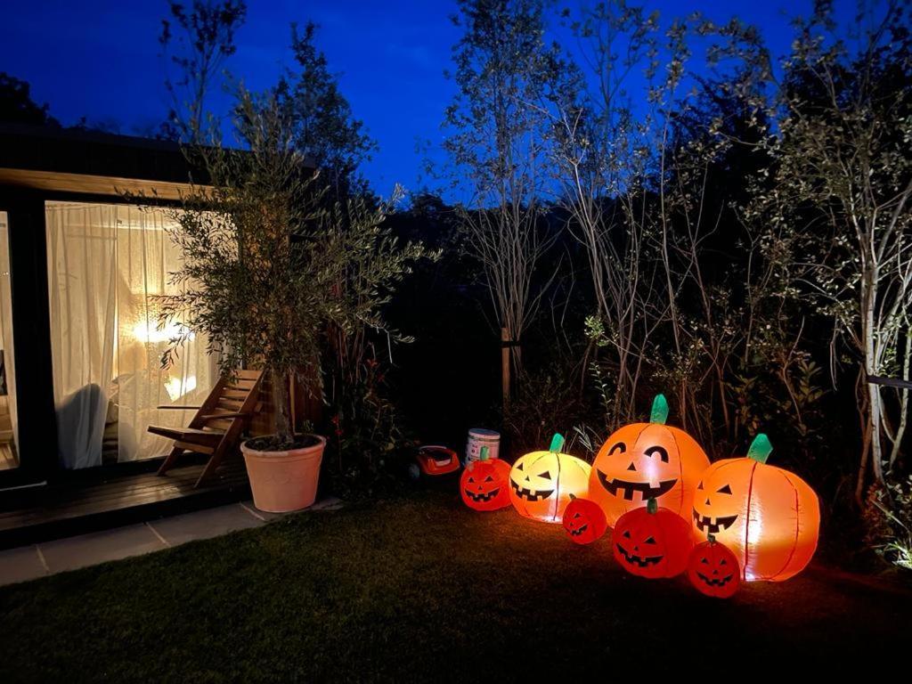 Dragonfly Glamping Spa Retreat Άσφορντ Εξωτερικό φωτογραφία
